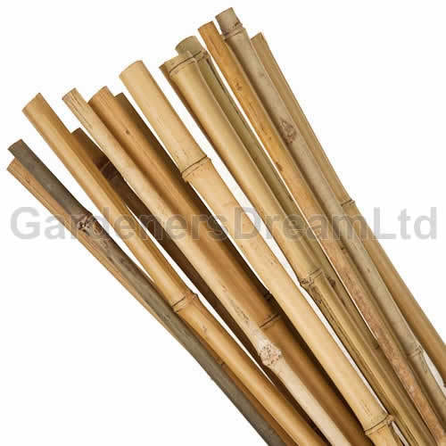 6ft heavy duty bamboo - 50,