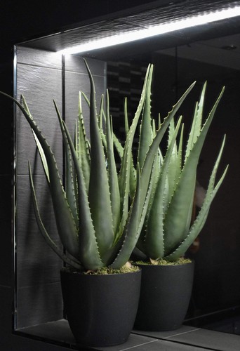 Artificial aloe vera plant - aloe,