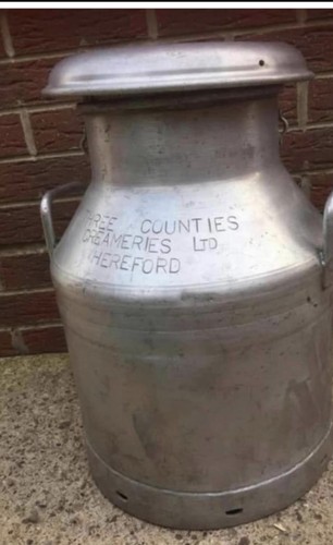 Vintage small gallon - small,