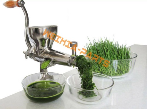 Stainless steel slow juicer - slow,