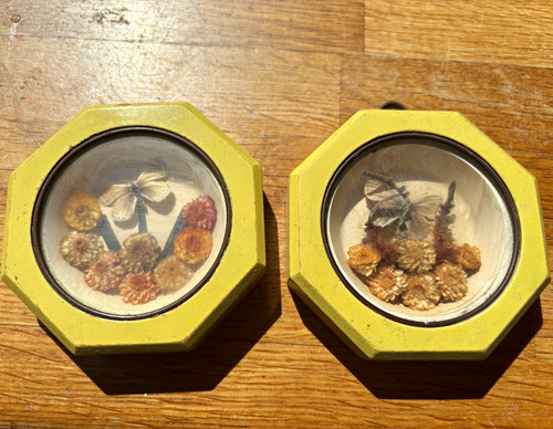 Pair octagonal pressed dried - octagonal,