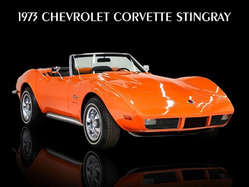 1973 chevrolet corvette - 1973,