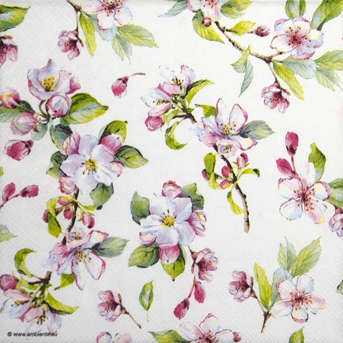 Single lunch paper - 4x, napkins