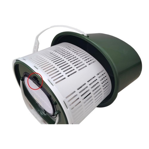 Fishing bucket live fish - live,