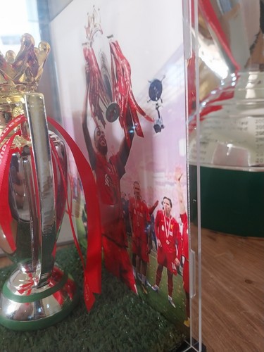 Cody gakpo signed premier - gakpo,
