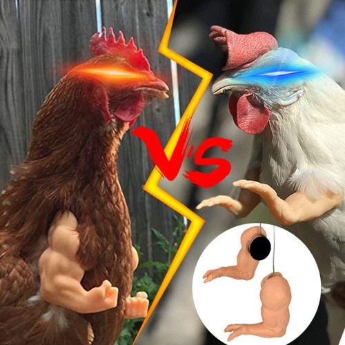 Fighting chicken arms toys - arms,