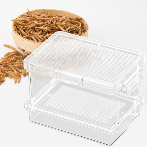 Reptile feeding box cricket - feeding,