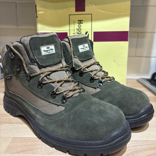 Hoggs fife rambler - hoggs, of