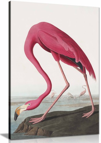Pink flamingo 1827 framed - ii,