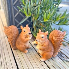Pair Squirrel Garden Animal