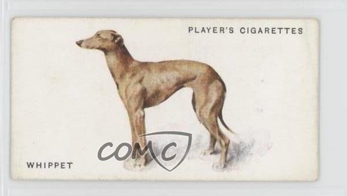1931 player dogs - 1931,