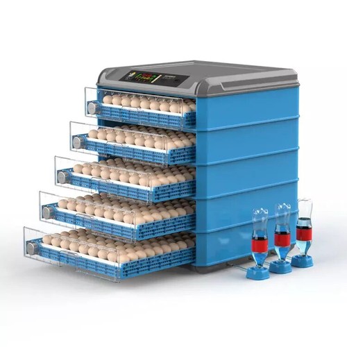 Automatic hatching incubator - hatching,