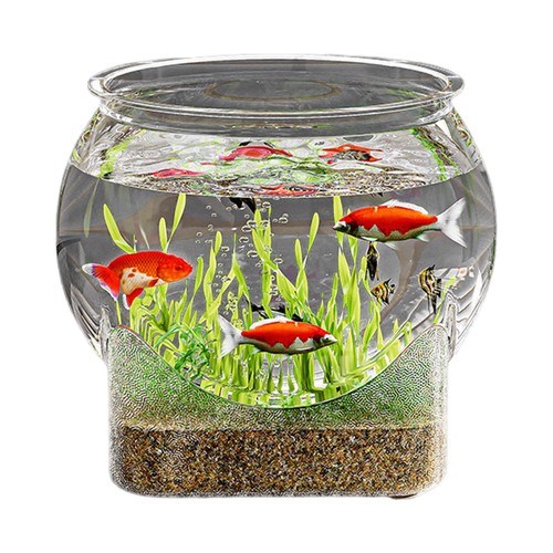 Large round clear - round, betta