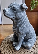 Staffy Bull Dog Concrete