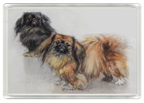 Pekingese dog fridge magnet - dog,