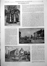 Old Print Oxford Rowing Lady