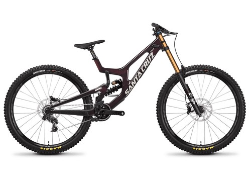 Santa cruz v10 - 2023, frame