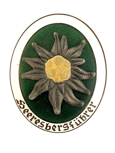 Ww2 german army - army, bergfuhrer
