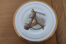 Pall Mall Ware Horses Head Plate - Size 21cm Diameter - English Bone China