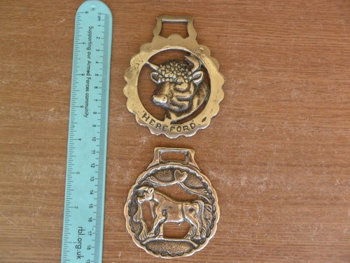 Vintage hereford bull other - hereford,