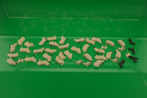 Sheep scale 32 - sheep,