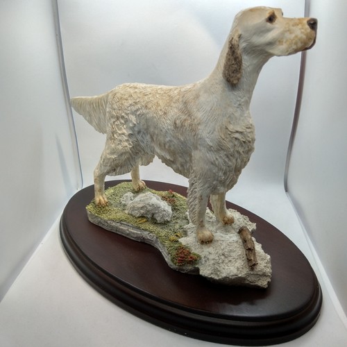 English setter best breed - setter, of