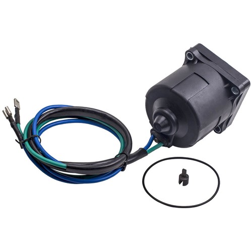 Trim tilt motor - trim,
