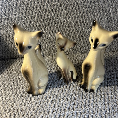 Vintage mid century - mid, siamese