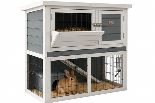 Bunny business tier double - business,