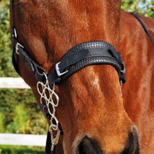 Bitless Bridle Noseband for