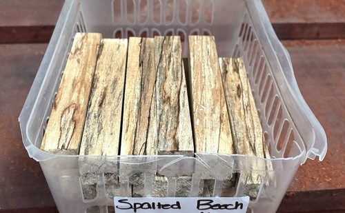 Spalted beech pen blank 22 - x,