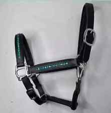 Torquoise Color Crystal Stone Leather Horse Padded Headcollar Halter All Size.