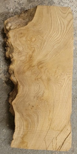 Timber scottish burr elm blank - timber,