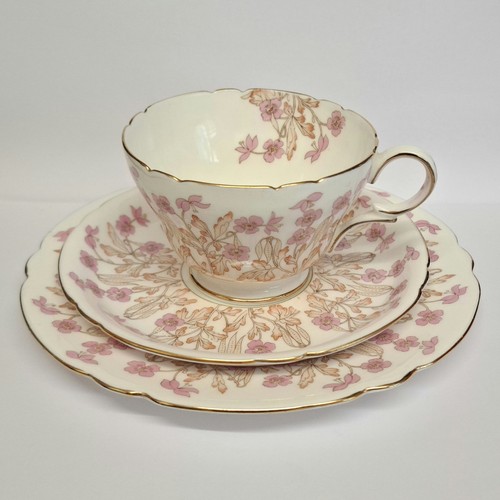 Vintage shelley bone china - bone,