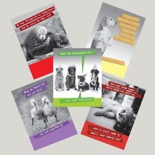 Multi Pack of 5 Funny Animal