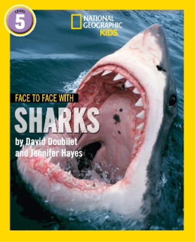 Face with sharks - face,
