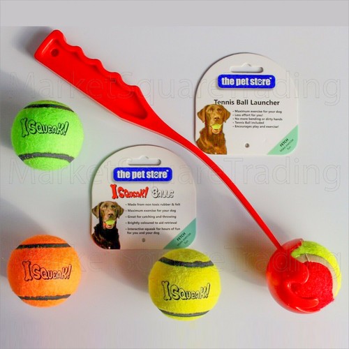 Dog tennis ball - dog,