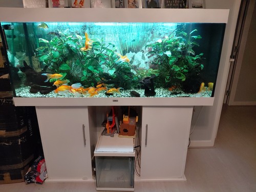 Juwel rio 450l fish tank - 450l,
