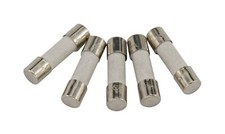Grant 6.3 Amp Fuses for PCB