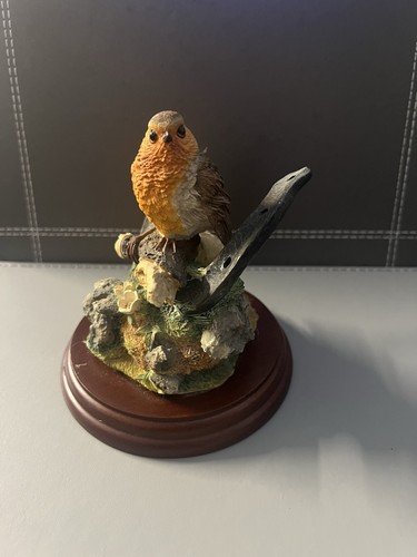 Border fine arts - border, robin