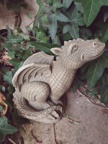 Baby dragon stone - baby, garden