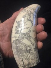 Sperm whale tooth scrimshaw