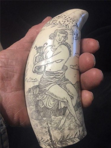 Sperm whale tooth - , scrimshaw