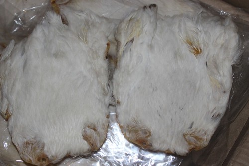 Fly tying natural white hen - tying,