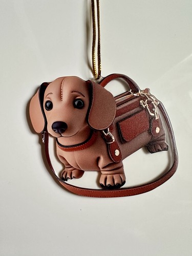 Cute dachshund acrylic - cute, 2d