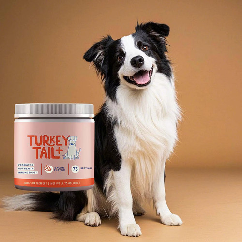Dog probiotic soft granules - soft,