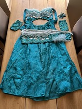 Belly Dance Bellydance Costume