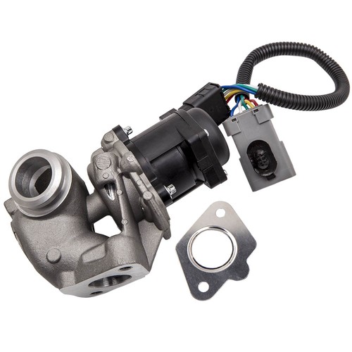 Outlet egr valve for - valve,