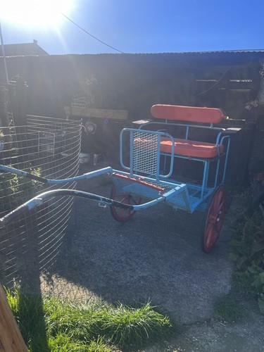 Horse carts carriages up - horse,