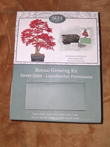 Bees bonsai growing - bonsai, kit